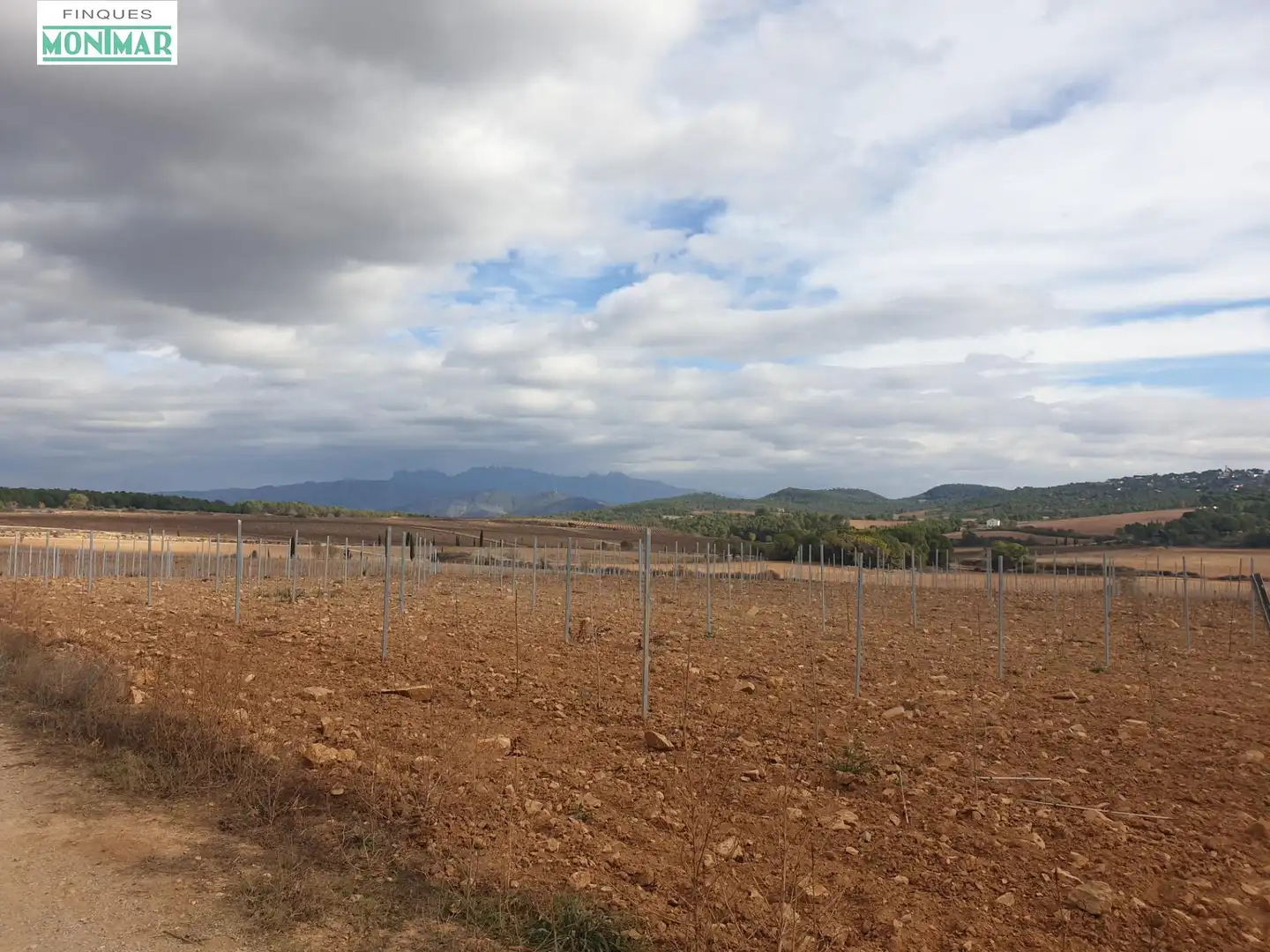 Finca rústica en venda en Vilafranca del Penedès