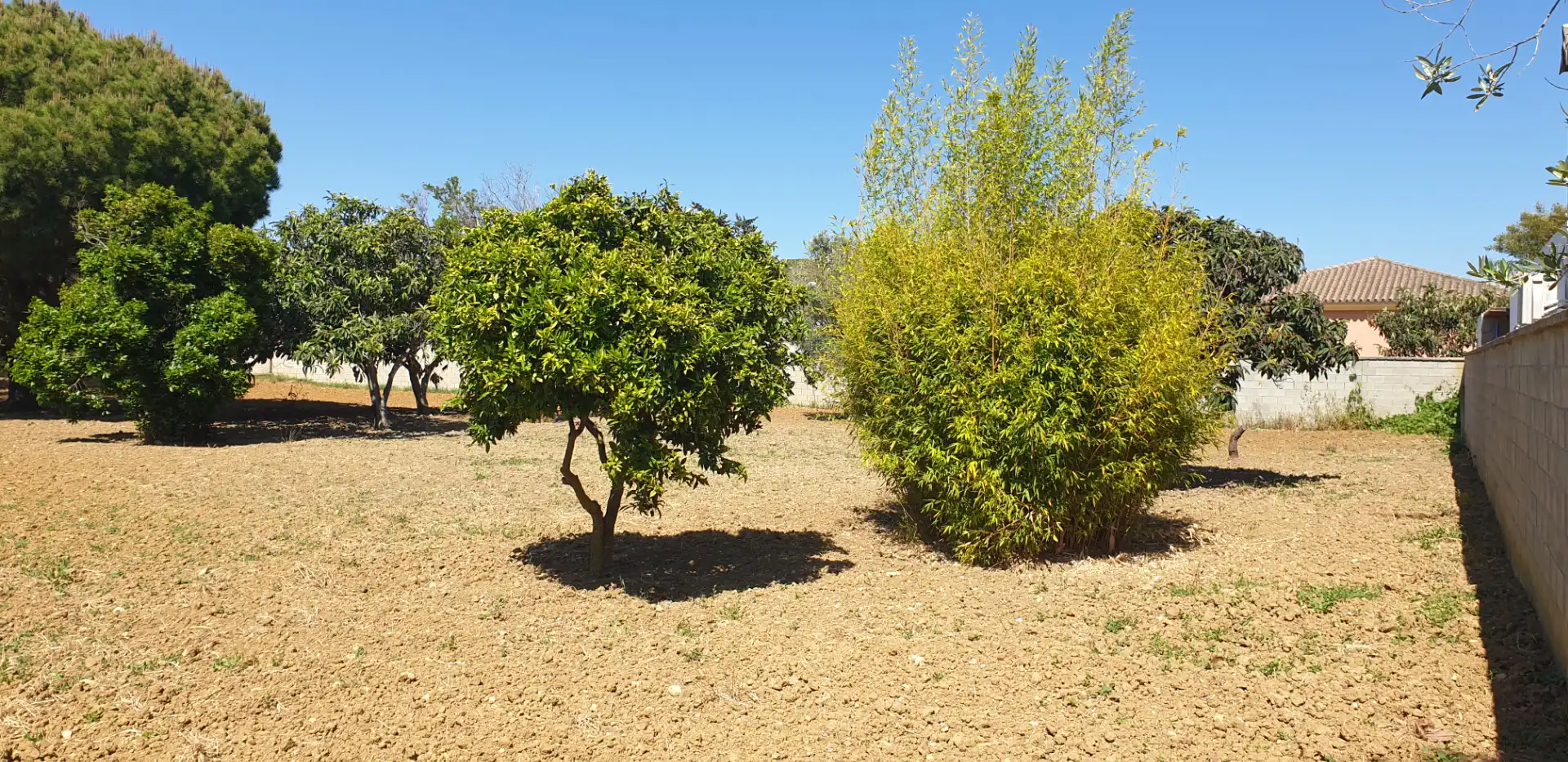Terrenys i solars en venda a Pelagatos - Pago del Humo, imagen 13