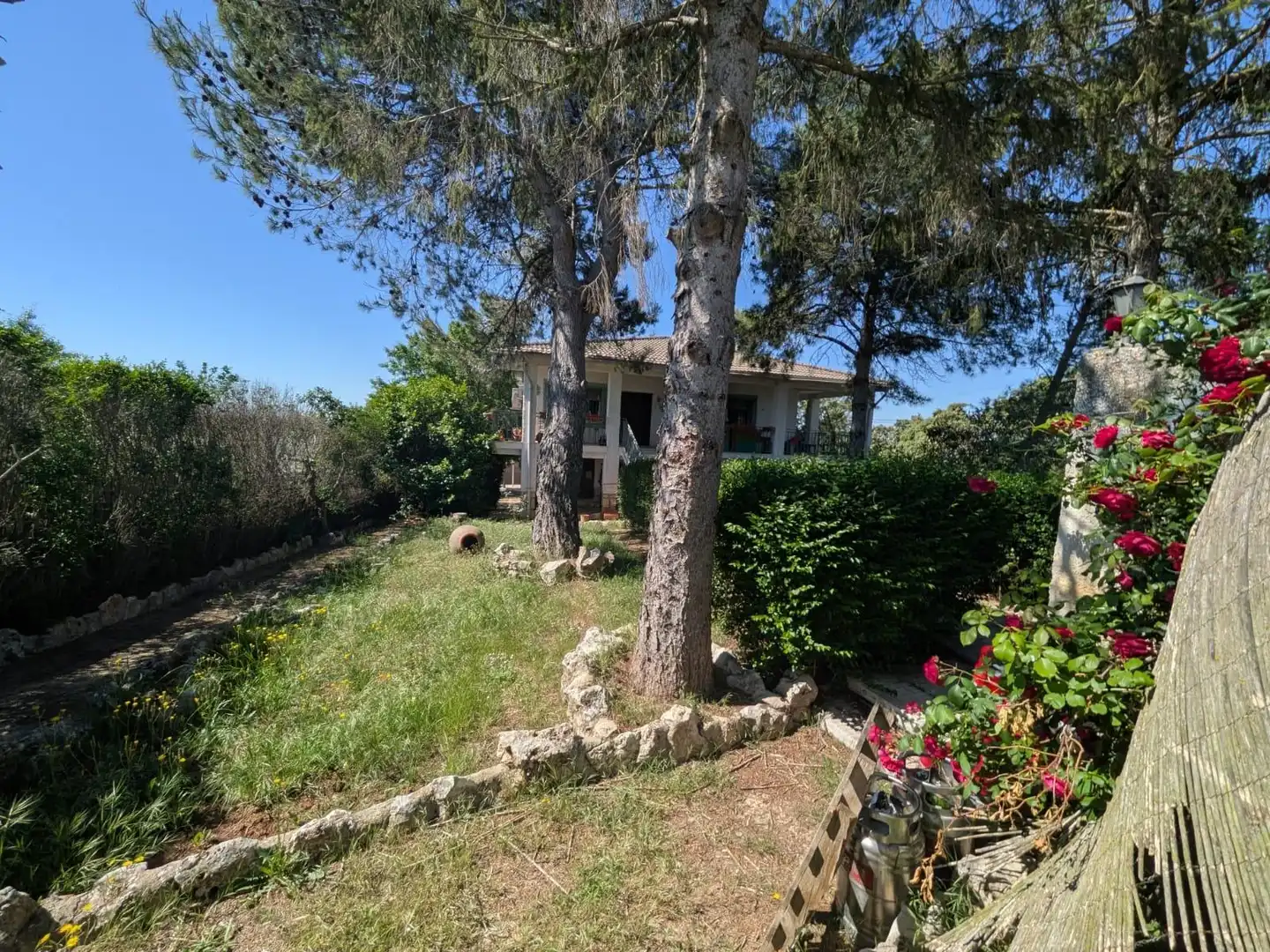 Jardí de Casa o xalet en venda en Escopete
