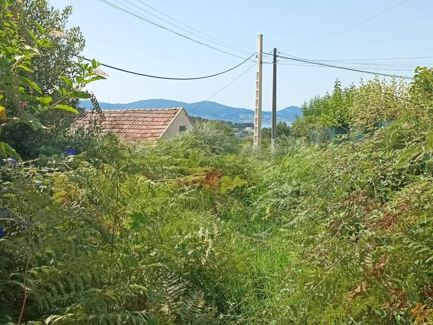 Residencial en venta en Lugar FREIXEIRO, 55, Dorrón