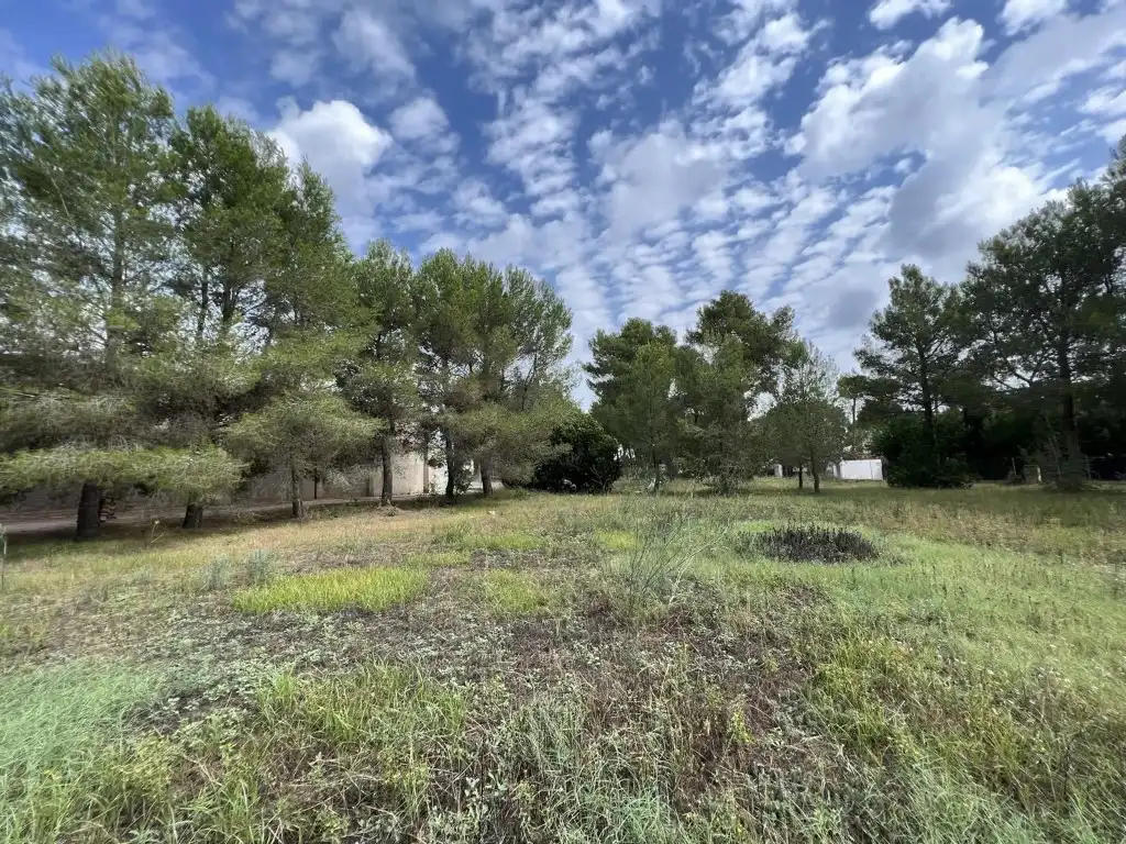 Terreny residencial en venda a Alberic, imagen 14