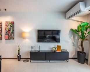 Living room of Flat to rent in  Lleida Capital  with Air Conditioner, Furnished and Pets allowed
