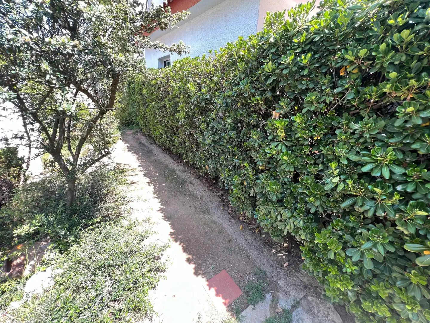 Jardín de Casa o chalet en venta en Tàrrega con Aire acondicionado, Calefacción y Jardín privado