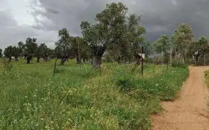 Terreni e lotti in vendita a Pr El Urraco, imagen 15