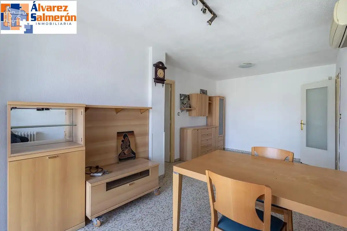 Living room of Flat for sale in Granada  with Air Conditioner, Heating and Terrace