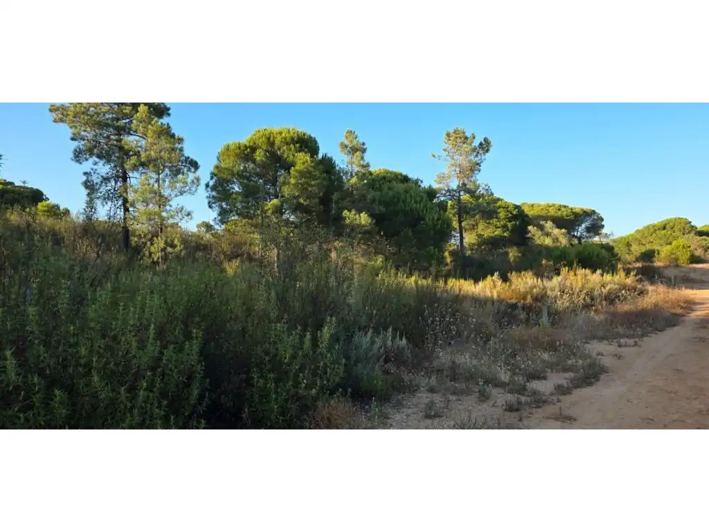 Terreny residencial en venda a Villablanca, imagen 5
