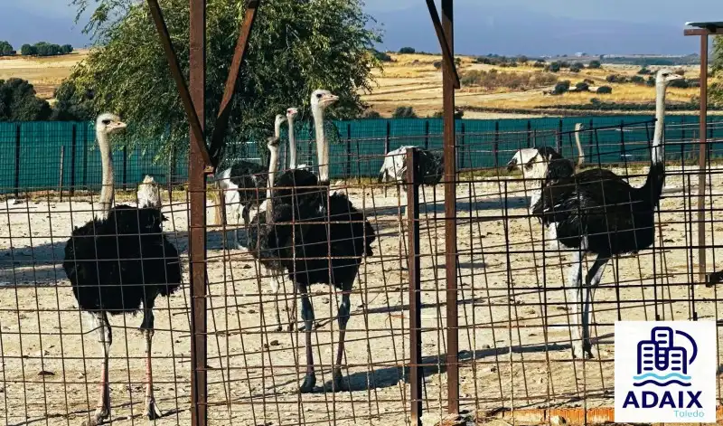 Vista exterior de Finca rústica en venda en Pulgar amb Calefacció i Terrassa