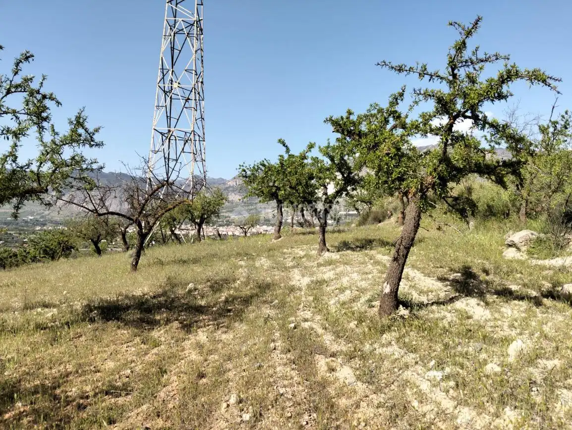 Rural land for sale in Dúrcal, imagen 6