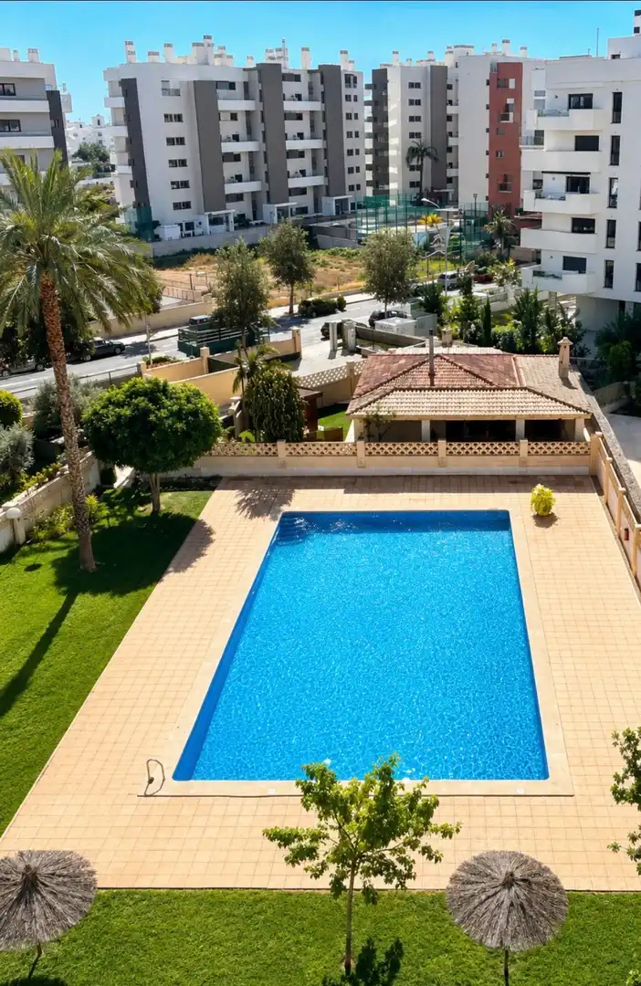 Swimming pool of Study for rent in Alicante / Alacant  with Heating, Terrace and Furnished
