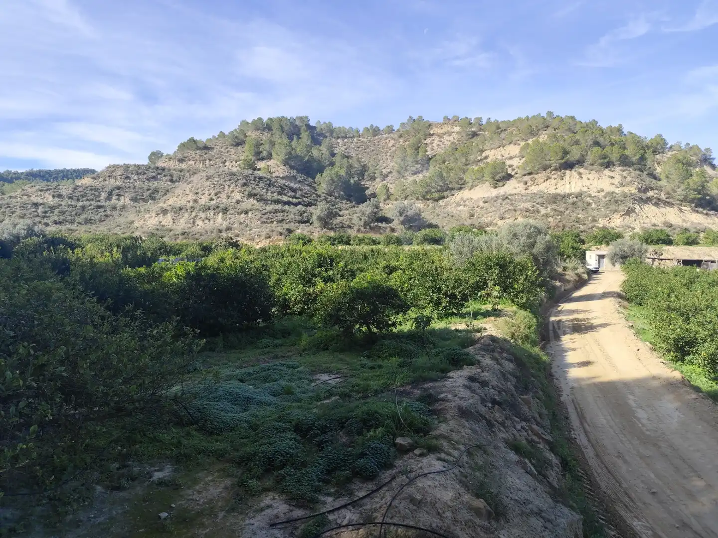Terreny en venda en Murcia