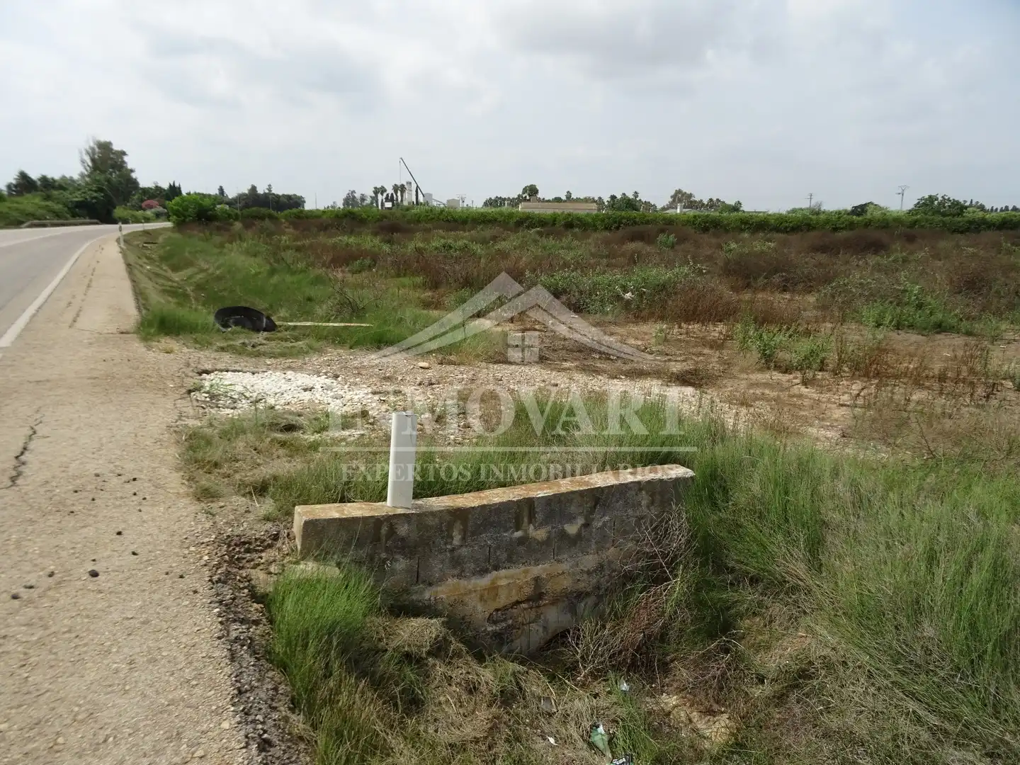 Terreno en venta en Algemesí