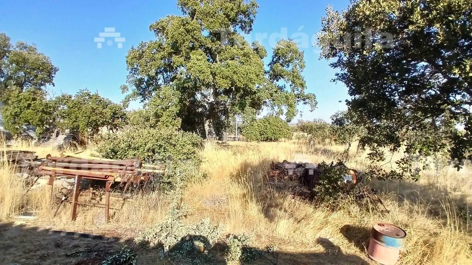 Casa o chalet en venta en Buenavista