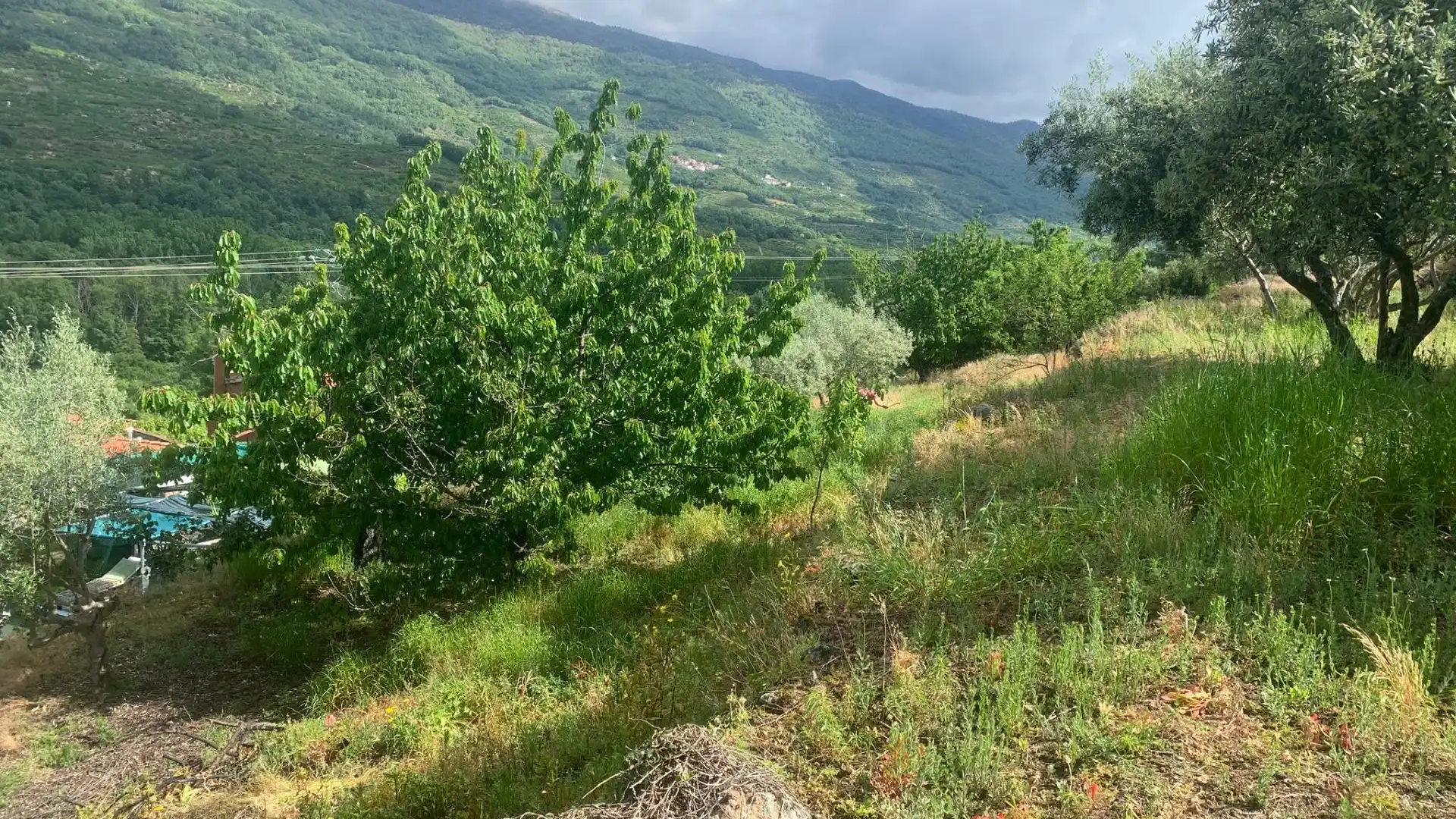 Finca rústica en venta en Casas del Castañar con Terraza