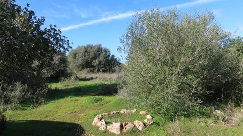 Photo 4 of Residential for sale in Campos poble, Campos