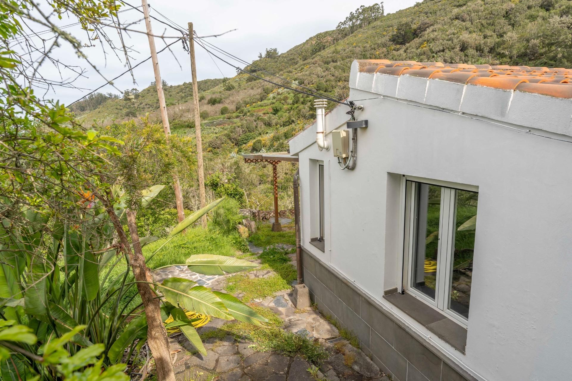 Garden of House or chalet to rent in Tegueste  with Private garden, Terrace and Swimming Pool