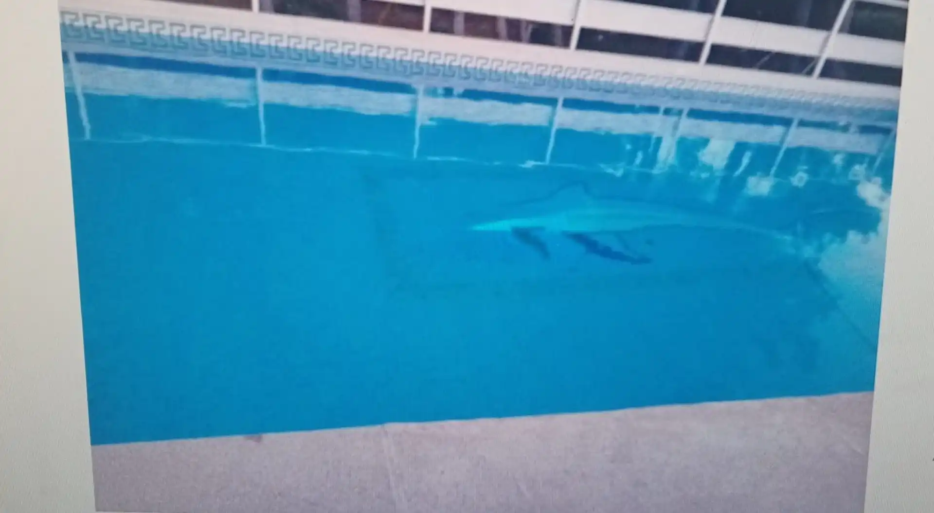 Xalet amb piscina en venda a Pedanías - Extrarradio, imagen 5