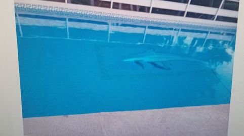 Foto 5 de Casa o chalet en venta en Pedanías - Extrarradio, Albacete Capital