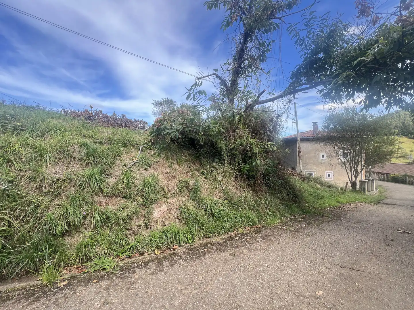 Lands and plots for sale in Pillarno, imagen 23