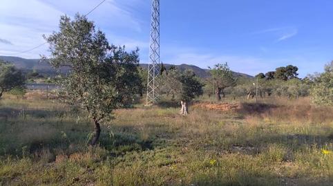 Photo 5 of Residential for rent in Ibi, Alicante