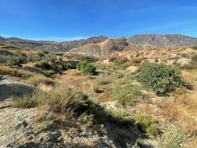 Terreno rustico in vendita a Calle Rio de Terque 2, imagen 5