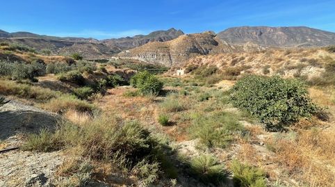 Se Vende Parcela en  Terque Pueblo. Bajada de precio!!, immagine 5