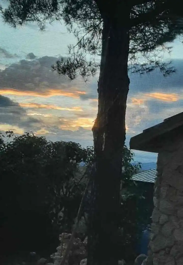 Vista exterior de Casa o xalet en venda en Matarrubia