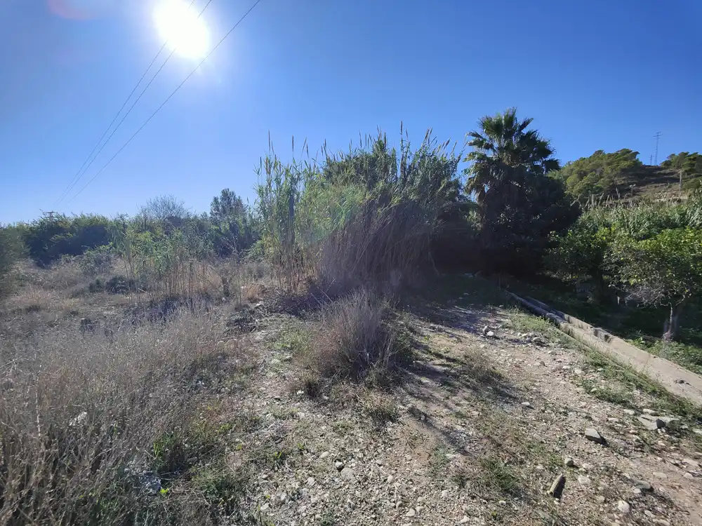 Rural land for sale in PARAJE MOSMAY Y PI DE CALSES, POL.12 , PARCELAS 37, imagen 11