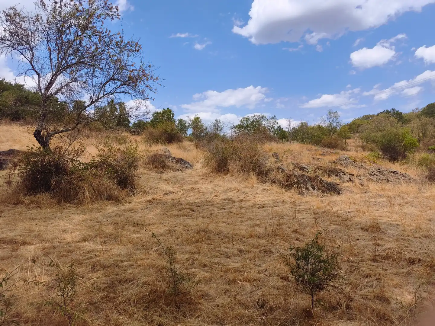 Terreno en venta en Piñuécar-Gandullas