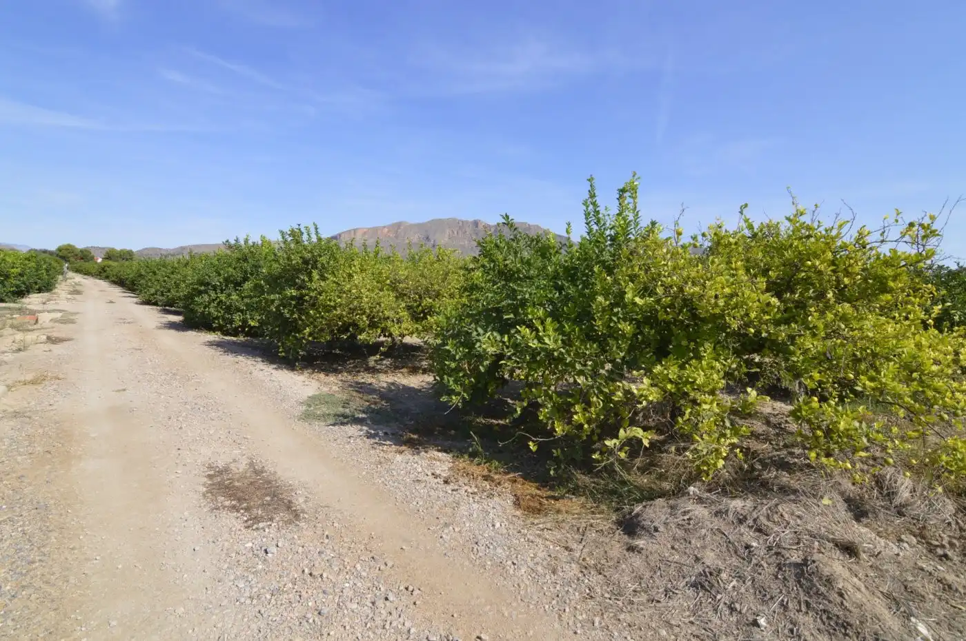 Residencial en venta en N/A, -1, Santomera