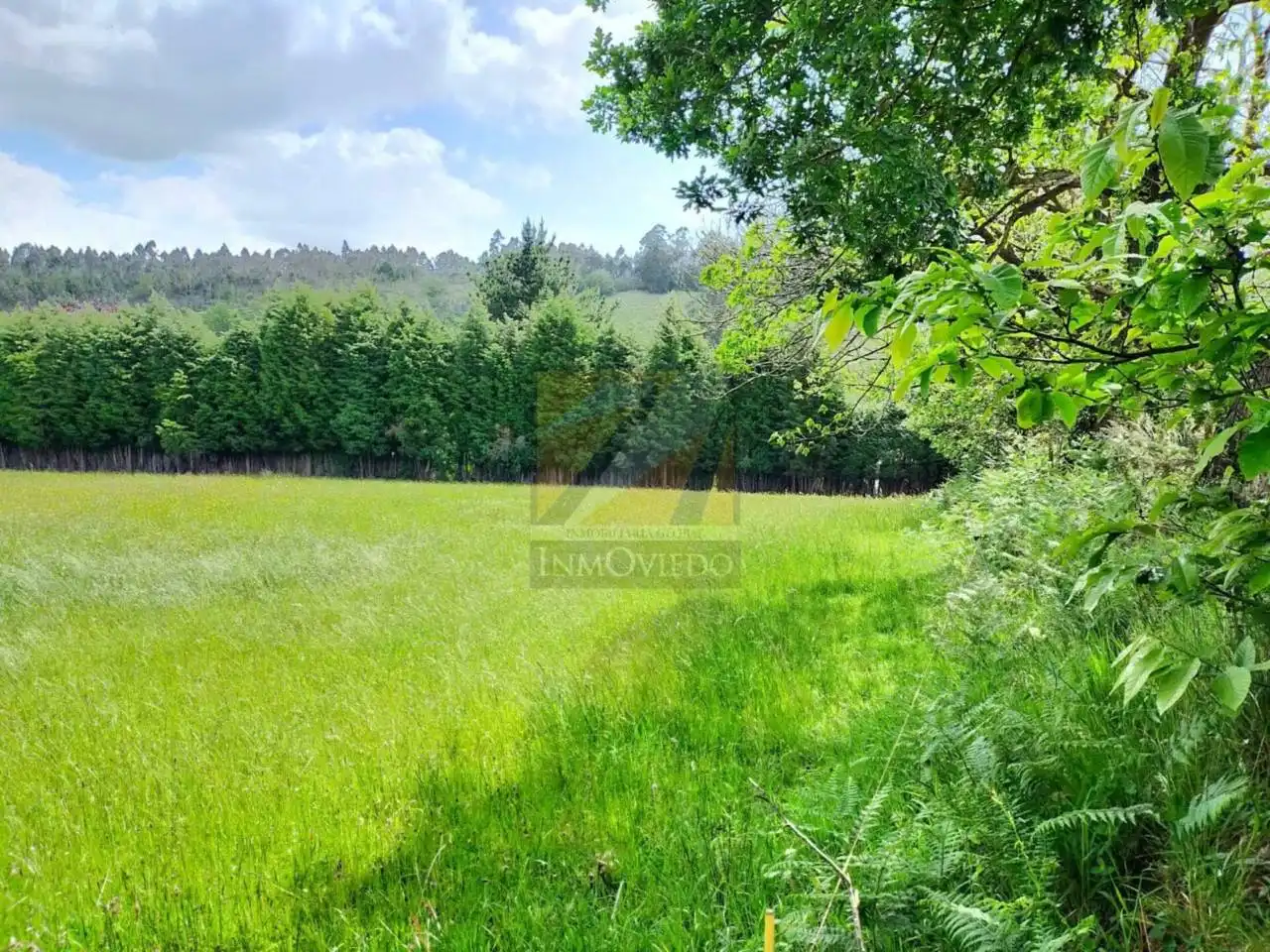 Terreny residencial en venda a Camino Las Regueras, imagen 4