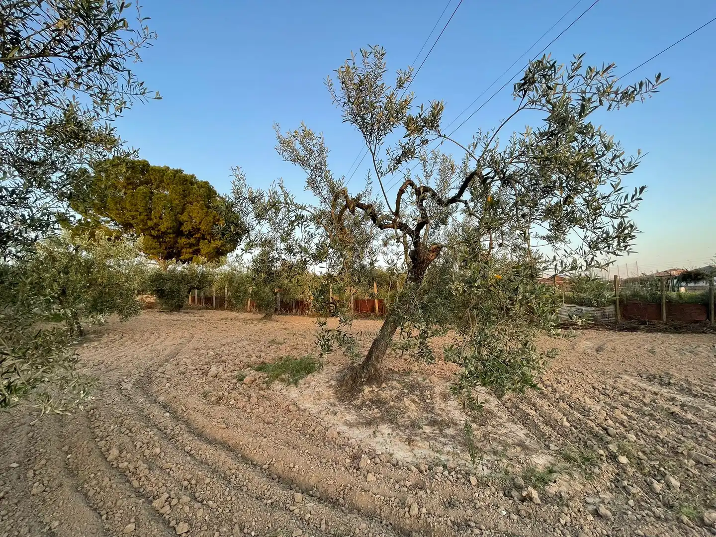 Terrain rustique à vendre à Salteras, imagen 5
