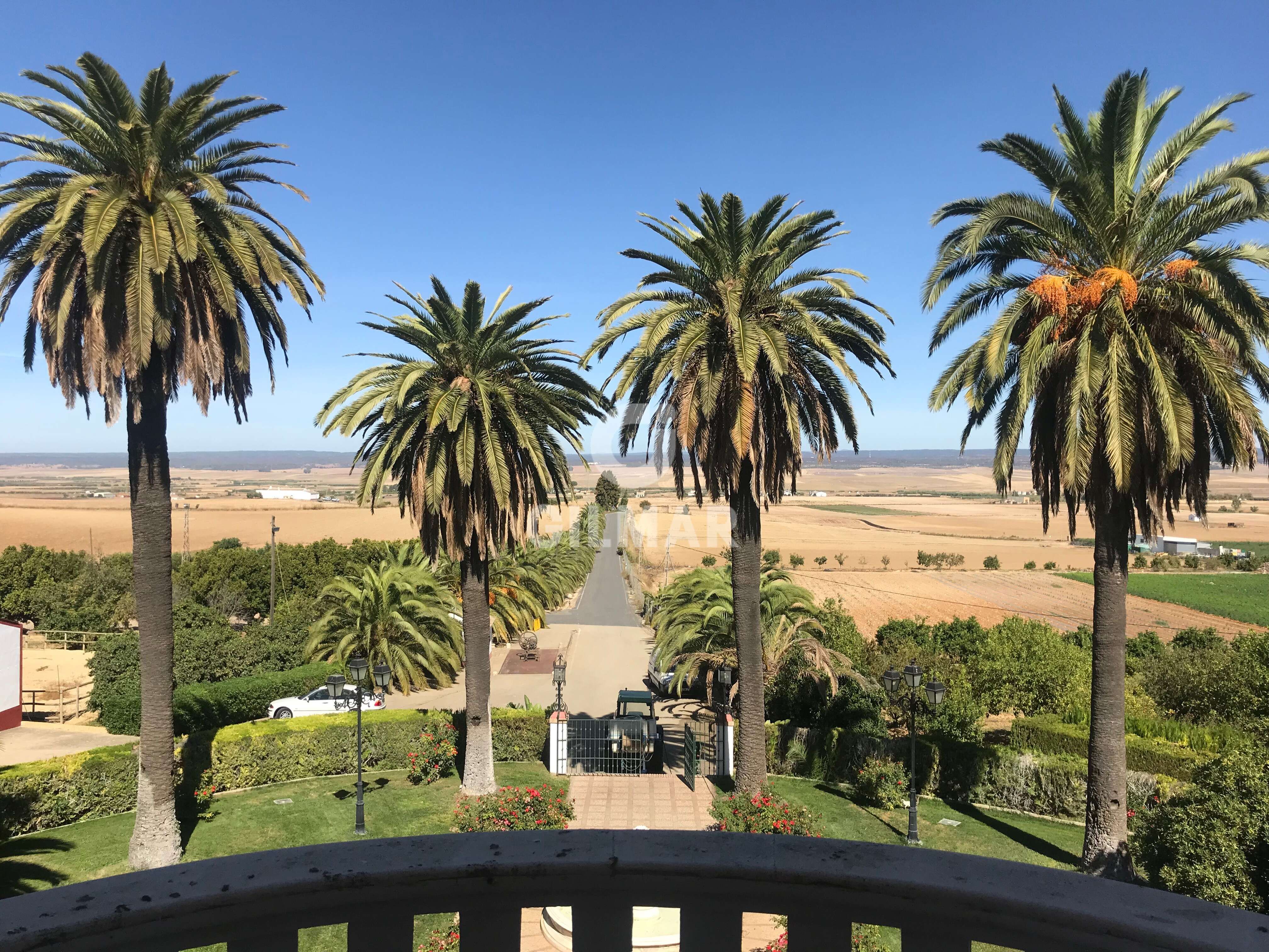 Vista exterior de Casa o xalet en venda en Villalba del Alcor amb Piscina