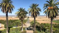 Vista exterior de Casa o xalet en venda en Villalba del Alcor amb Piscina