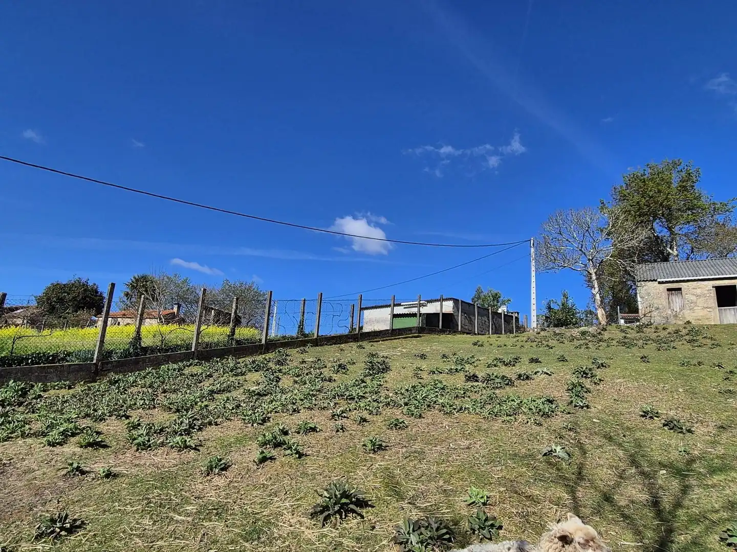 Casa o xalet en venda en Ames amb Jardí privat