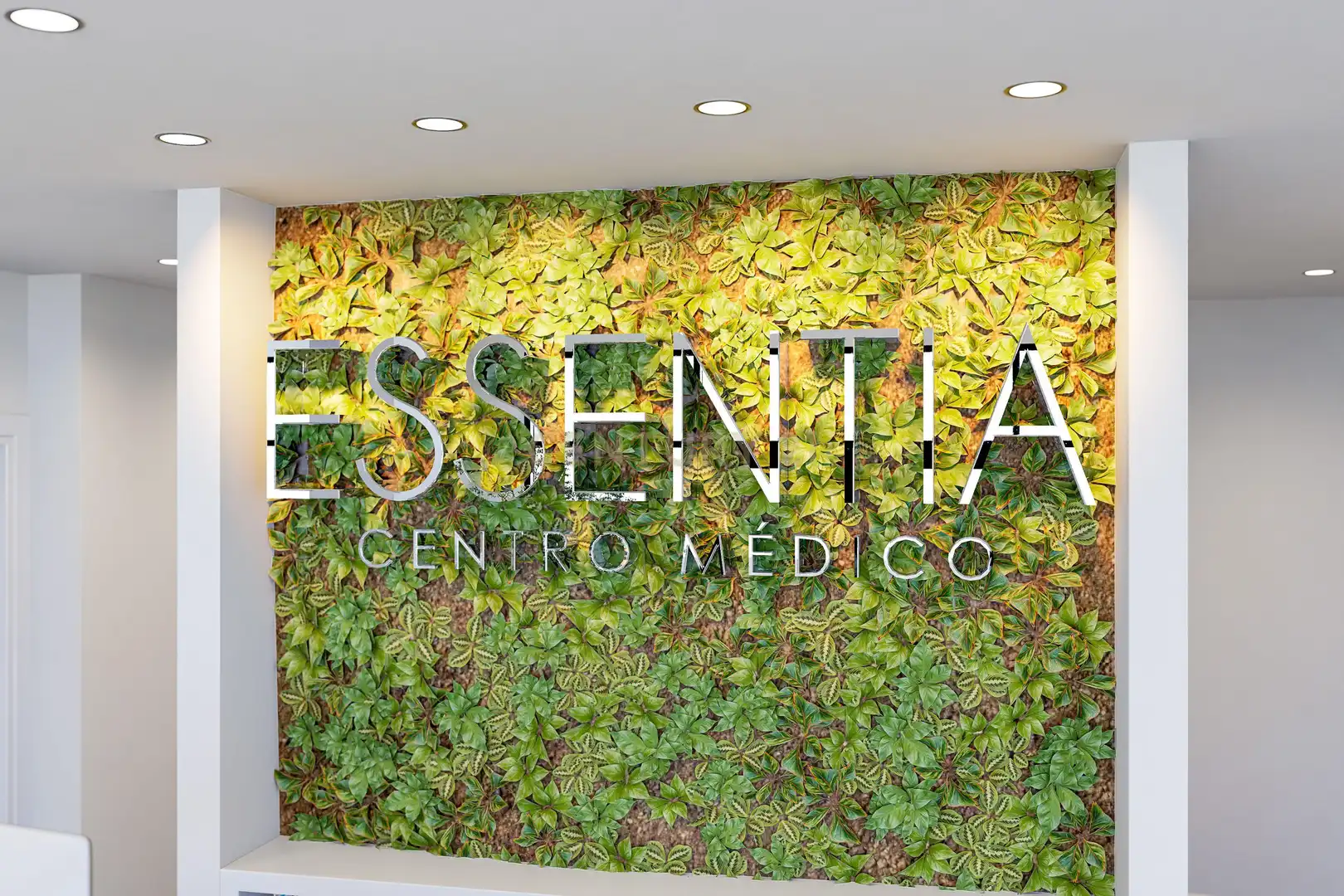 Local de lloguer en Granada
