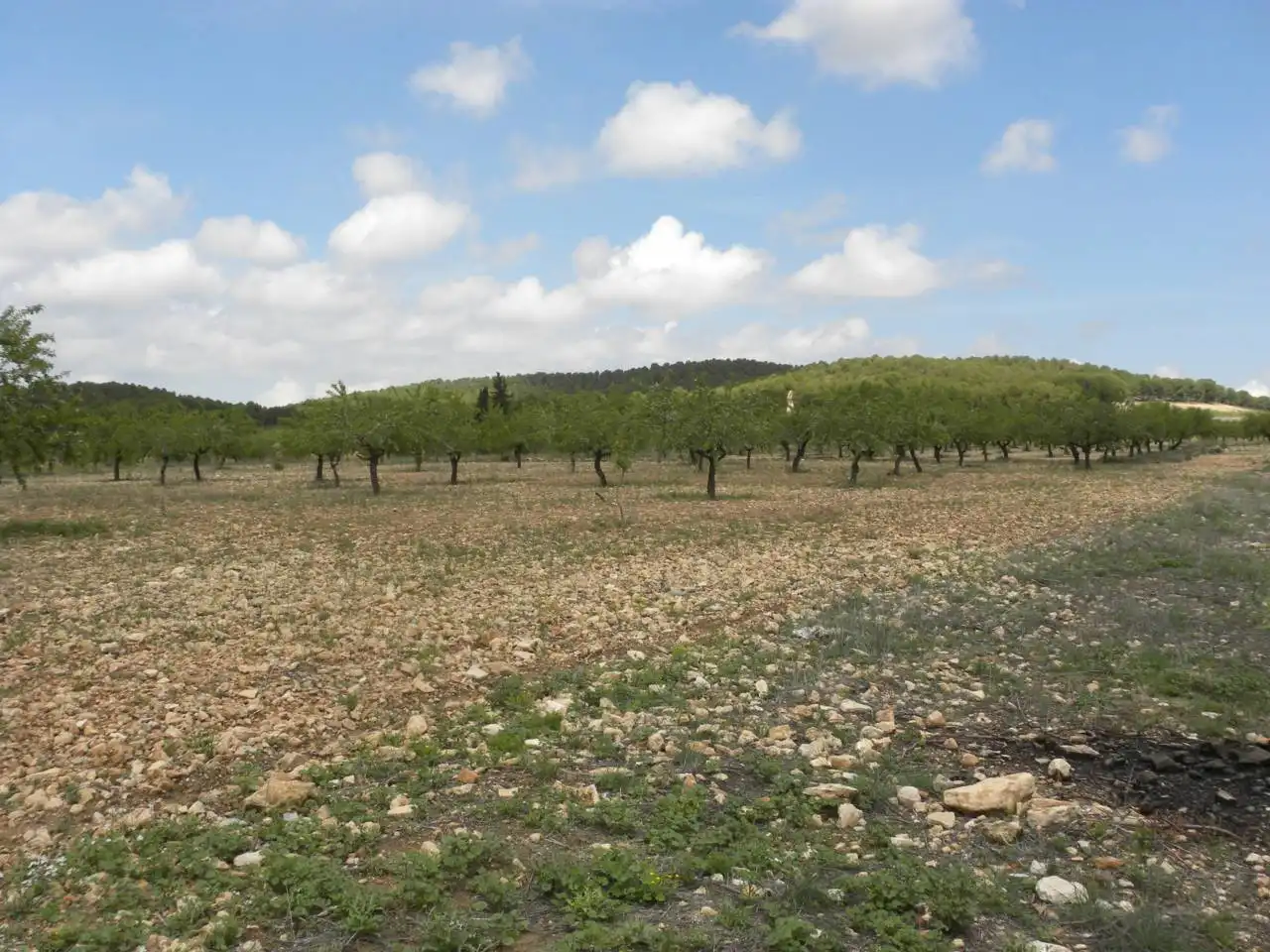 Dúplex en venta en Caravaca de la Cruz con Balcón