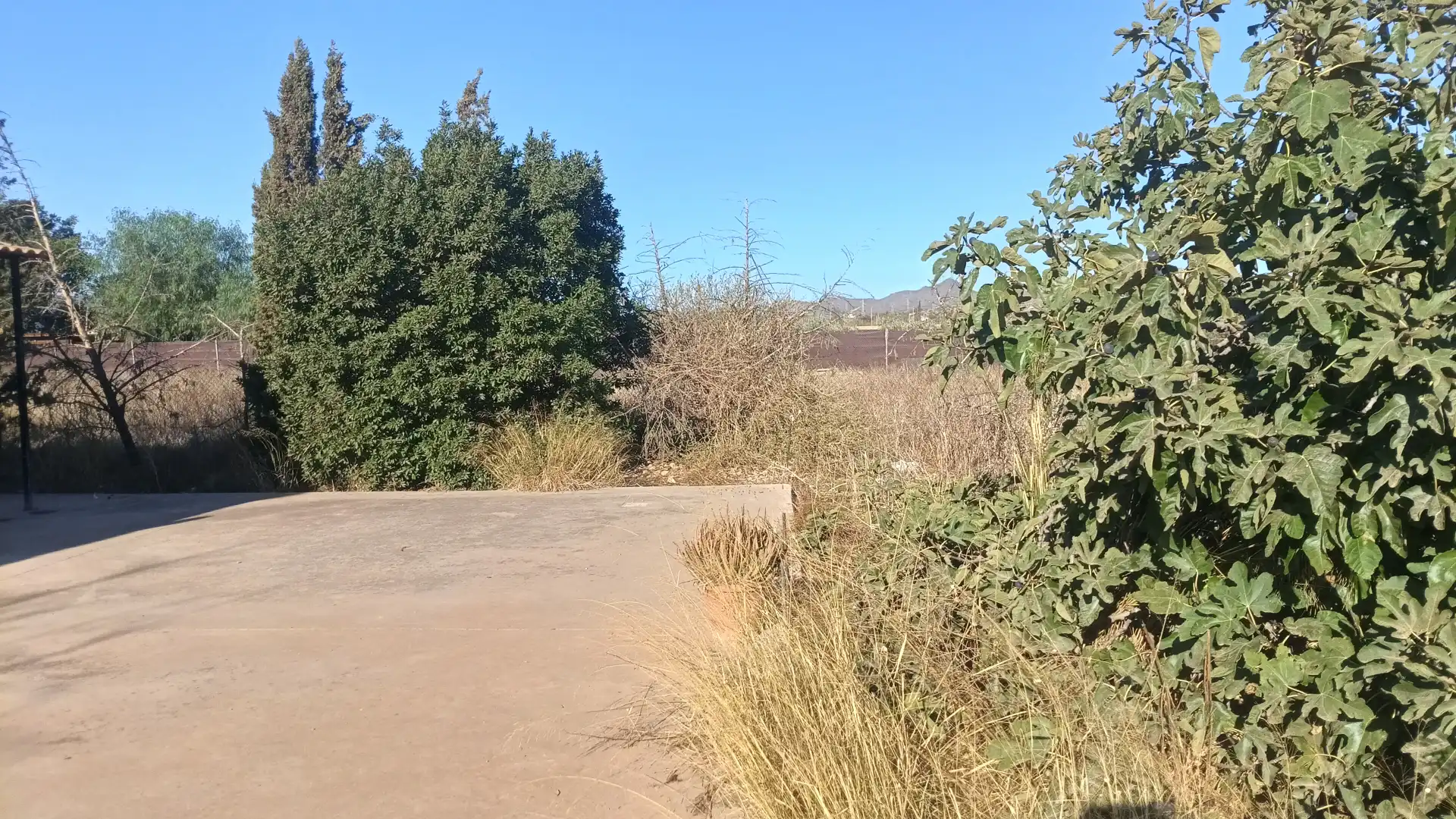 Maison rustique avec jardin à vendre à Pedanías Oeste, imagen 17