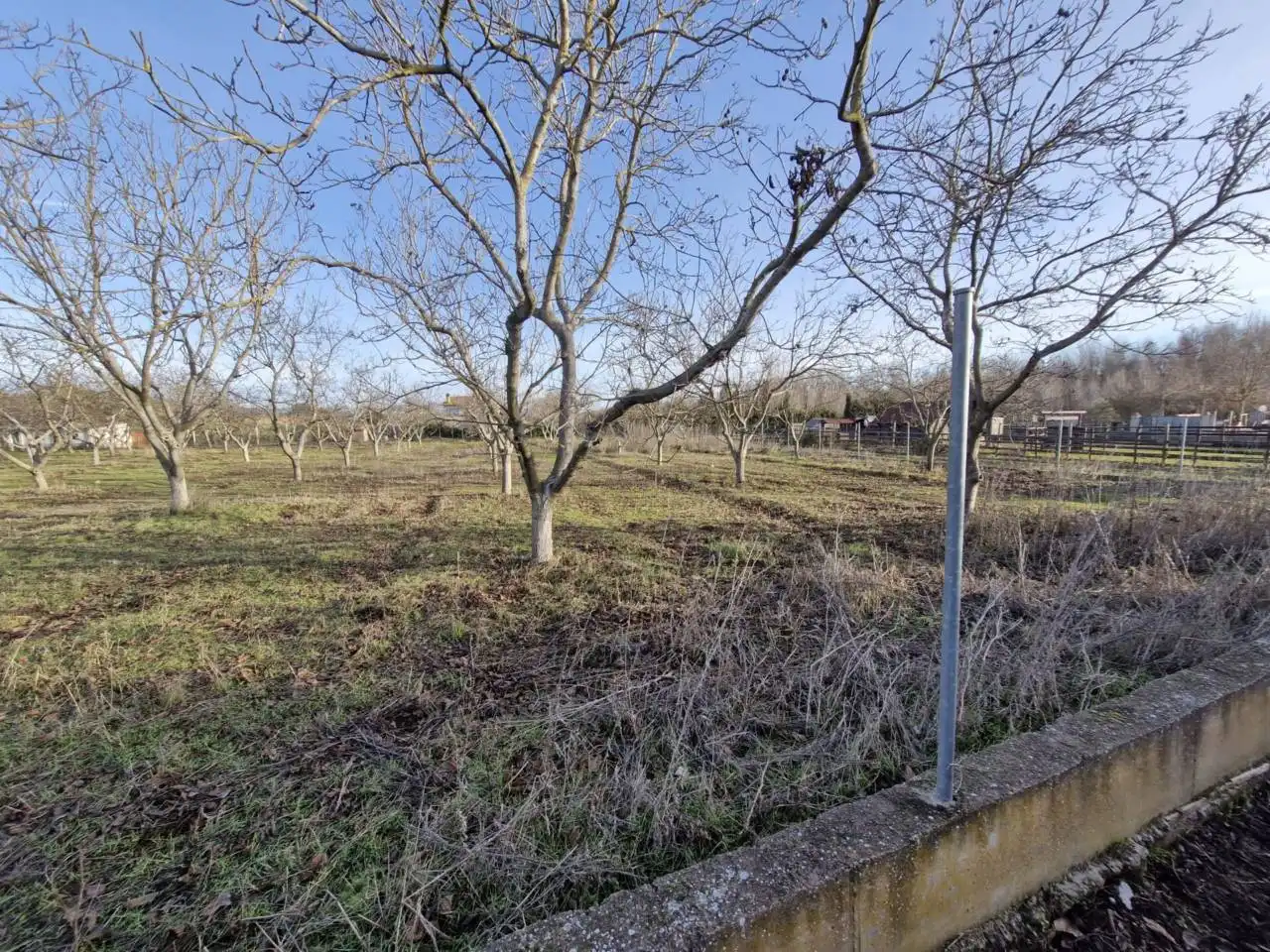 Rural land for sale in Calle DISEMINADO, imagen 19