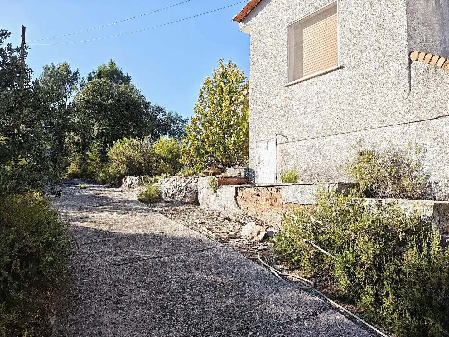 Vista exterior de Casa o chalet en venta en Perales de Tajuña con Jardín privado, Piscina y Alarma