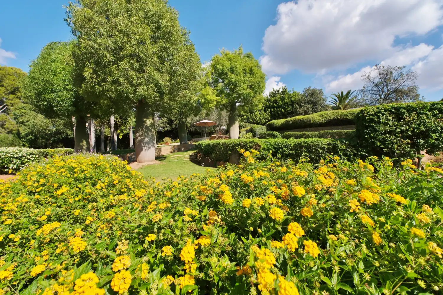 Jardín de Casa o chalet en venta en Puçol con Aire acondicionado, Calefacción y Jardín privado