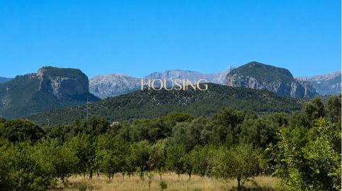 Foto 5 de Finca rústica de lloguer a Consell, Illes Balears