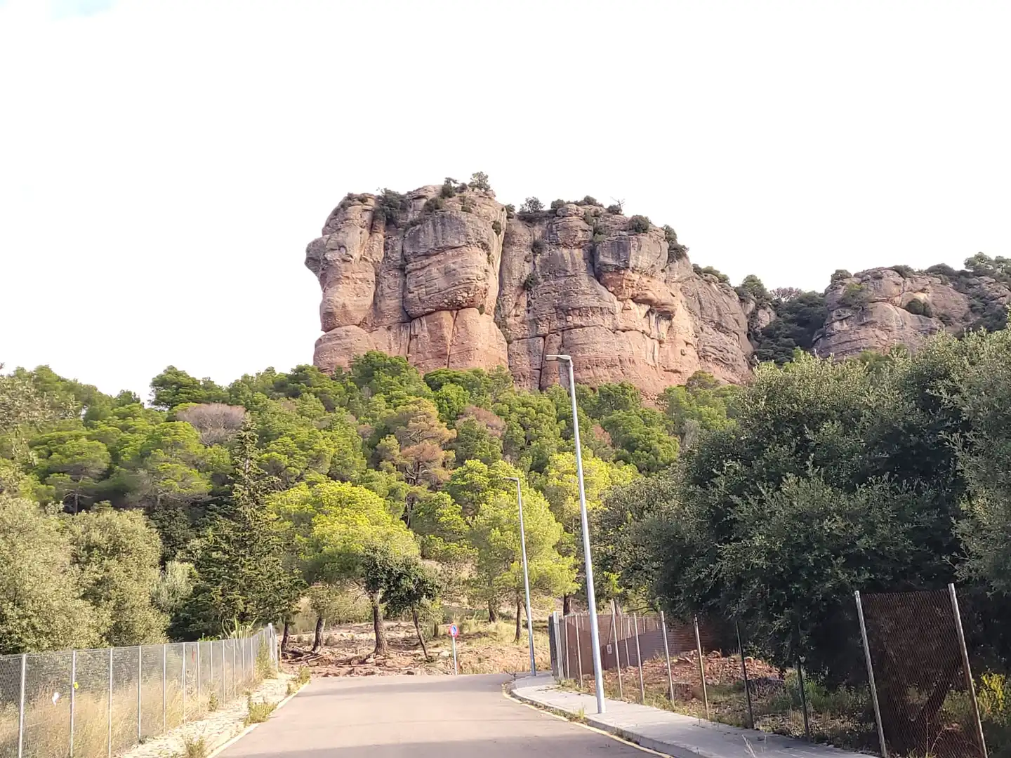 Residential land for sale in Carrer Camí del Moliner 55, imagen 13