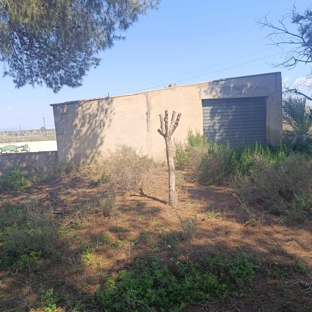 Terrain rustique à vendre à La Marina, imagen 21