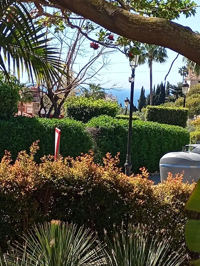 Bajo con piscina en venta en Elviria - Cabopino, imagen 11
