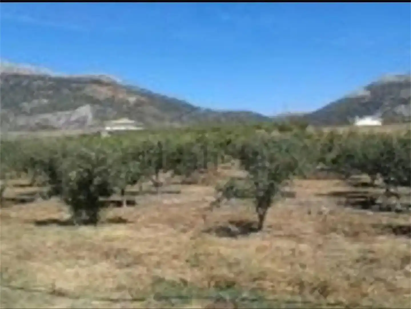 Land for sale in Alfarnate