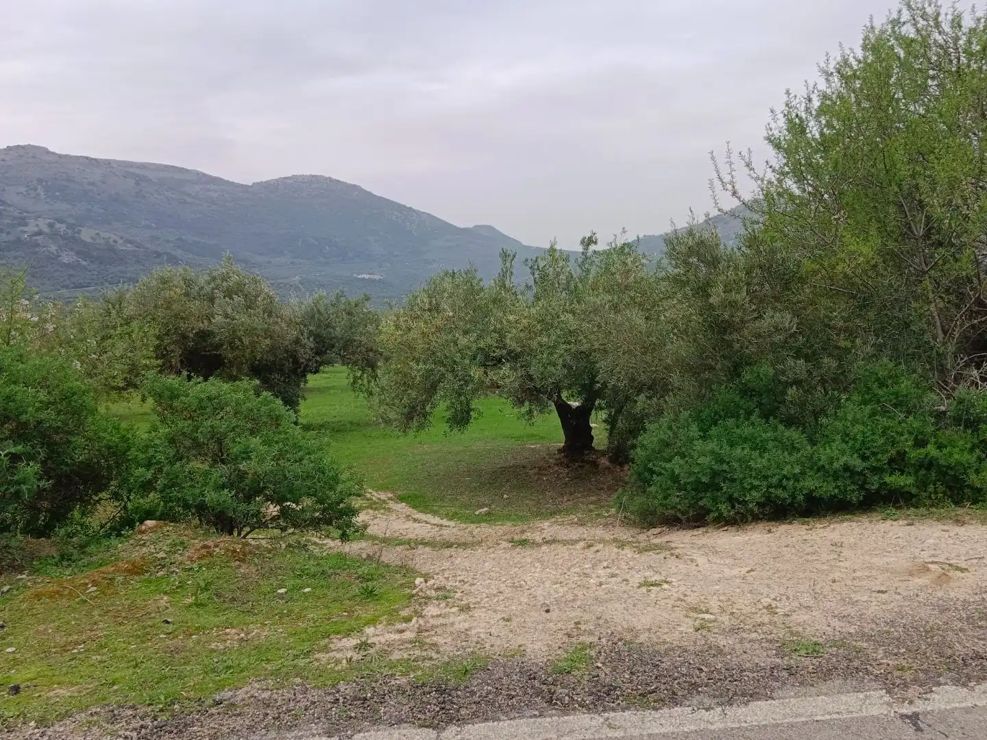 Terreno en venta en Zuheros