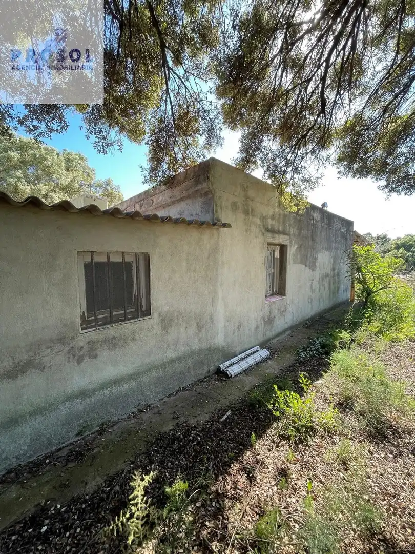 Vista exterior de Finca rústica en venta en Vilafamés