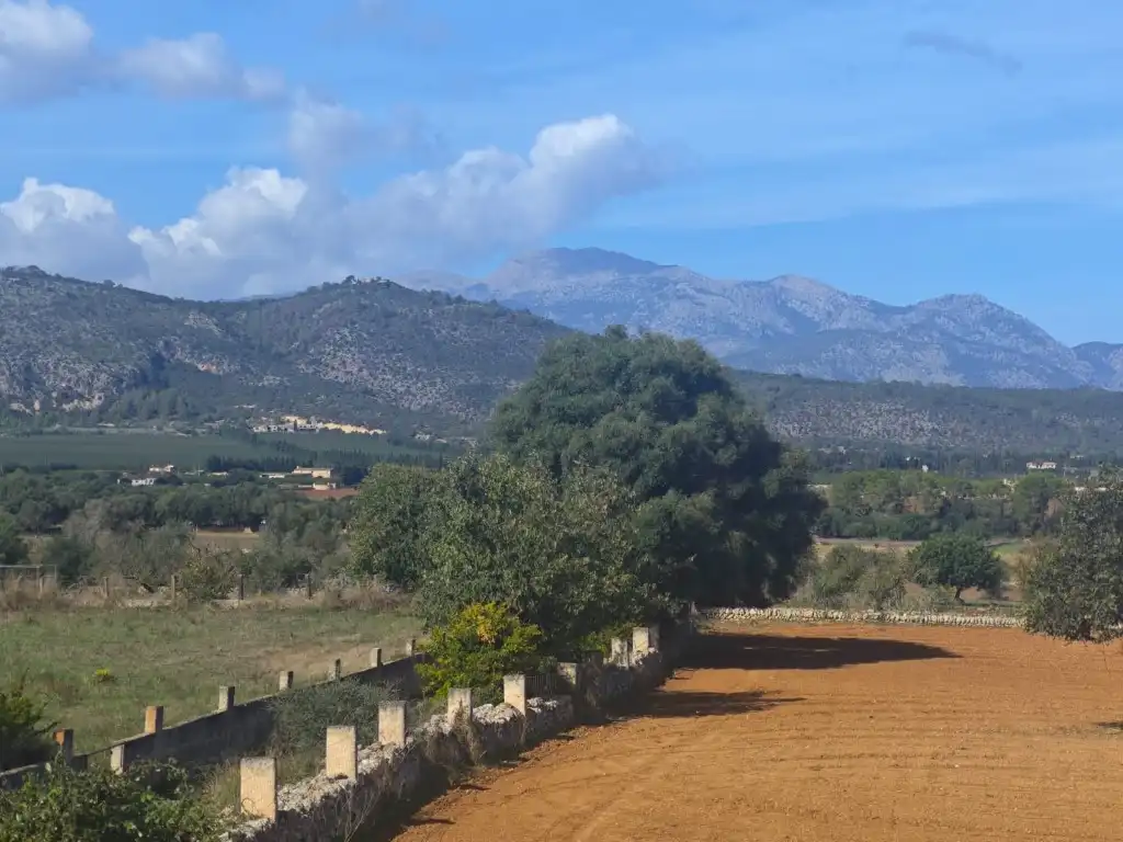 Country homes for sale in Zona Periurbana