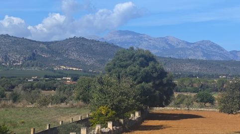 Foto 3 von Country house zum Verkauf in Zona Periurbana, Inca