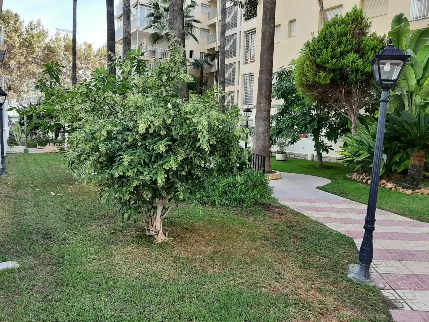 Apartamento con jardín en venta en Playa de Levante, imagen 60